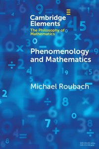 bokomslag Phenomenology and Mathematics