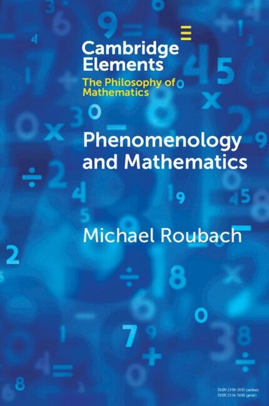 Michael Roubach - Phenomenology and Mathematics, Häftad