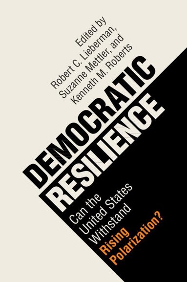 Robert C. Lieberman, Suzanne Mettler, Kenneth M. Roberts - Democratic Resilience, Häftad