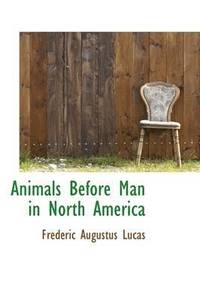 bokomslag Animals Before Man in North America