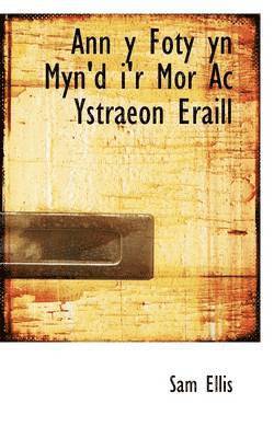 bokomslag Ann y Foty Yn Myn'd I'r Mor AC Ystraeon Eraill