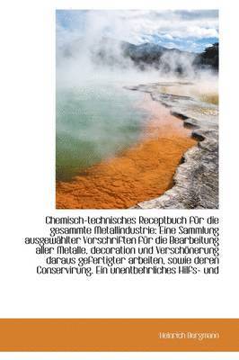 Heinrich Bergmann - Chemisch-Technisches Receptbuch F R Die Gesammte Metallindustrie: Eine Sammlung Ausgew Hlter Vorschr, Häftad