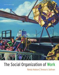 bokomslag The Social Organization of Work