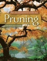 bokomslag Illustrated guide to pruning