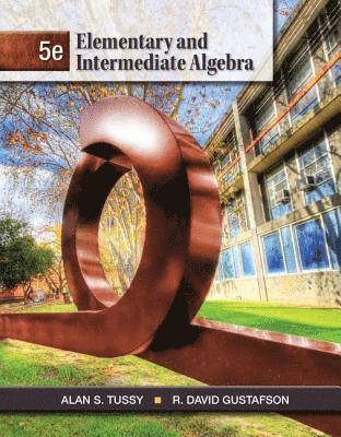 bokomslag Elementary and Intermediate Algebra