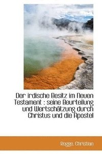 bokomslag Der irdische Besitz im Neuen Testament