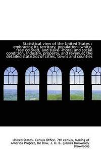 bokomslag Statistical View of the United States