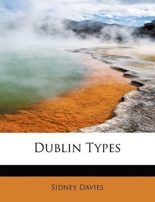 bokomslag Dublin Types