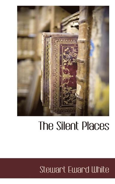 bokomslag Silent Places