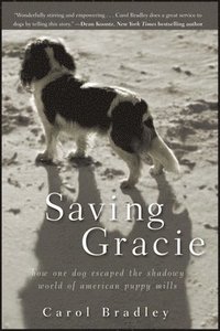 bokomslag Saving Gracie