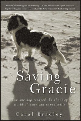 bokomslag Saving Gracie
