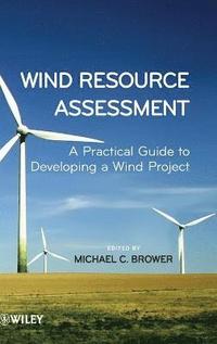 bokomslag Wind Resource Assessment