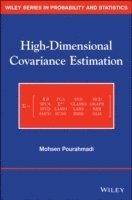 bokomslag High-Dimensional Covariance Estimation