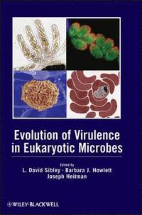 bokomslag Evolution of Virulence in Eukaryotic Microbes