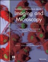 bokomslag Current Protocols Select: Methods and Applications in Microscopy and Imaging
