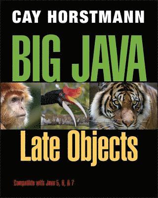 Big Java 1