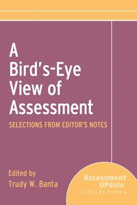 bokomslag A Bird's-Eye View of Assessment