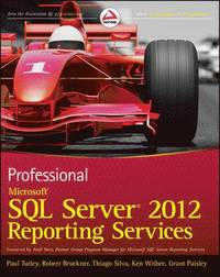 bokomslag Professional Microsoft SQL Server 2012 Reporting Services