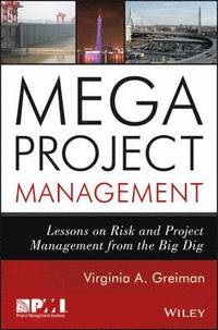 bokomslag Megaproject Management