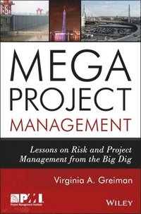 bokomslag Megaproject Management