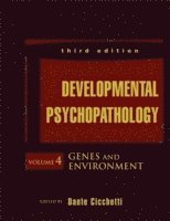 bokomslag Developmental Psychopathology, Risk, Resilience, and Intervention