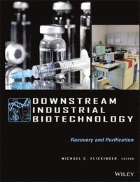 bokomslag Downstream Industrial Biotechnology