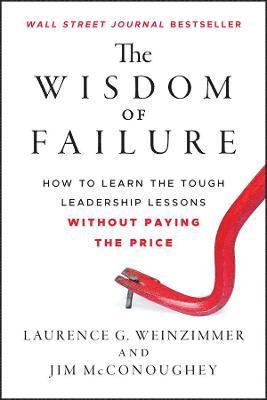 bokomslag Wisdom of Failure