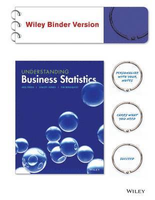 bokomslag Understanding Business Statistics