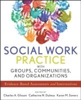 Charles A. Glisson, Catherine N. Dulmus, Karen M. Sowers - Social Work Practice with Groups, Communities, and Organizations, Häftad