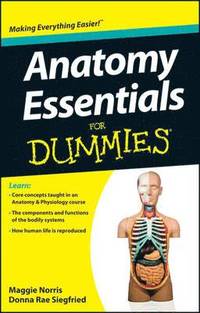 bokomslag Anatomy Essentials For Dummies
