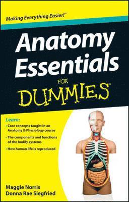 Anatomy Essentials For Dummies 1