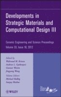 bokomslag Developments in Strategic Materials and Computational Design III, Volume 33, Issue 10