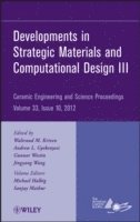 Waltraud M. Kriven, Andrew Gyekenyesi, Gunnar Westin, Jingyang Wang - Developments in Strategic Materials and Computational Design III, Volume 33, Issue 10, Inbunden