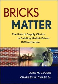 bokomslag Bricks Matter