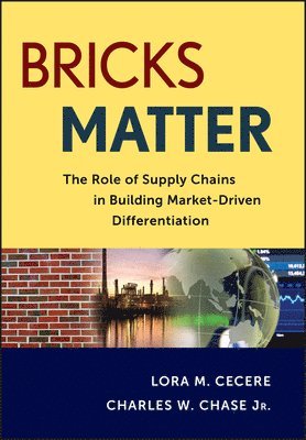 bokomslag Bricks Matter