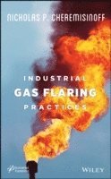 bokomslag Industrial Gas Flaring Practices