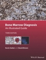 bokomslag Bone Marrow Diagnosis