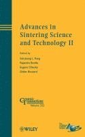 bokomslag Advances in Sintering Science and Technology II