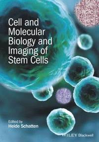 bokomslag Cell and Molecular Biology and Imaging of Stem Cells
