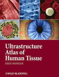 bokomslag Ultrastructure Atlas of Human Tissues