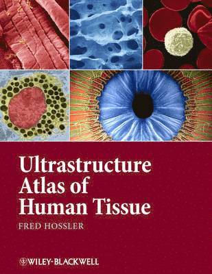 Ultrastructure Atlas of Human Tissues 1