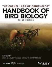 bokomslag Handbook of Bird Biology