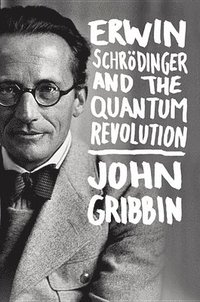 bokomslag Erwin Schrodinger And The Quantum Revolution