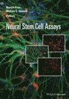 bokomslag Neural Stem Cell Assays