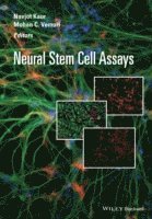 Neural Stem Cell Assays 1