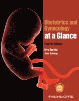 bokomslag Obstetrics and Gynecology at a Glance