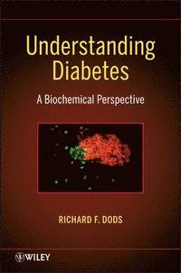 bokomslag Understanding Diabetes