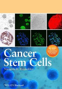 bokomslag Cancer Stem Cells