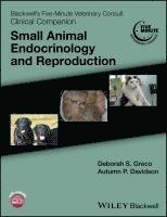 Deborah S. Greco, Autumn P. Davidson - Blackwell's Five-Minute Veterinary Consult Clinical Companion, Häftad