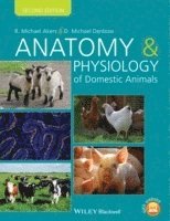 bokomslag Anatomy and Physiology of Domestic Animals